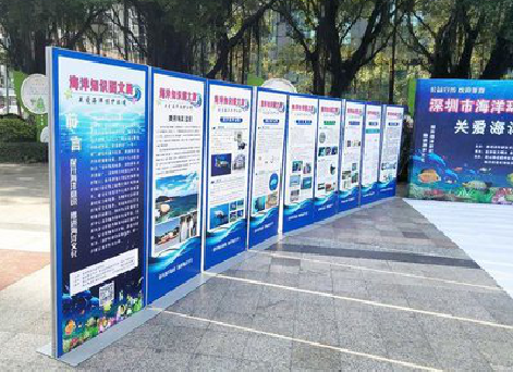 石首KT板的种类和知识。